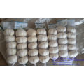 New Crop 2016 Fresh White Garlic From China